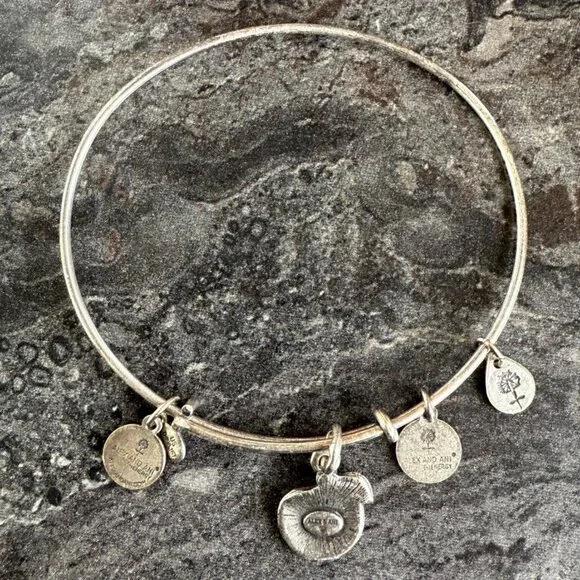 Alex and Ani Apple Charm Bracelet Silver Nature Expandable Bangle - Picture 3 of 14